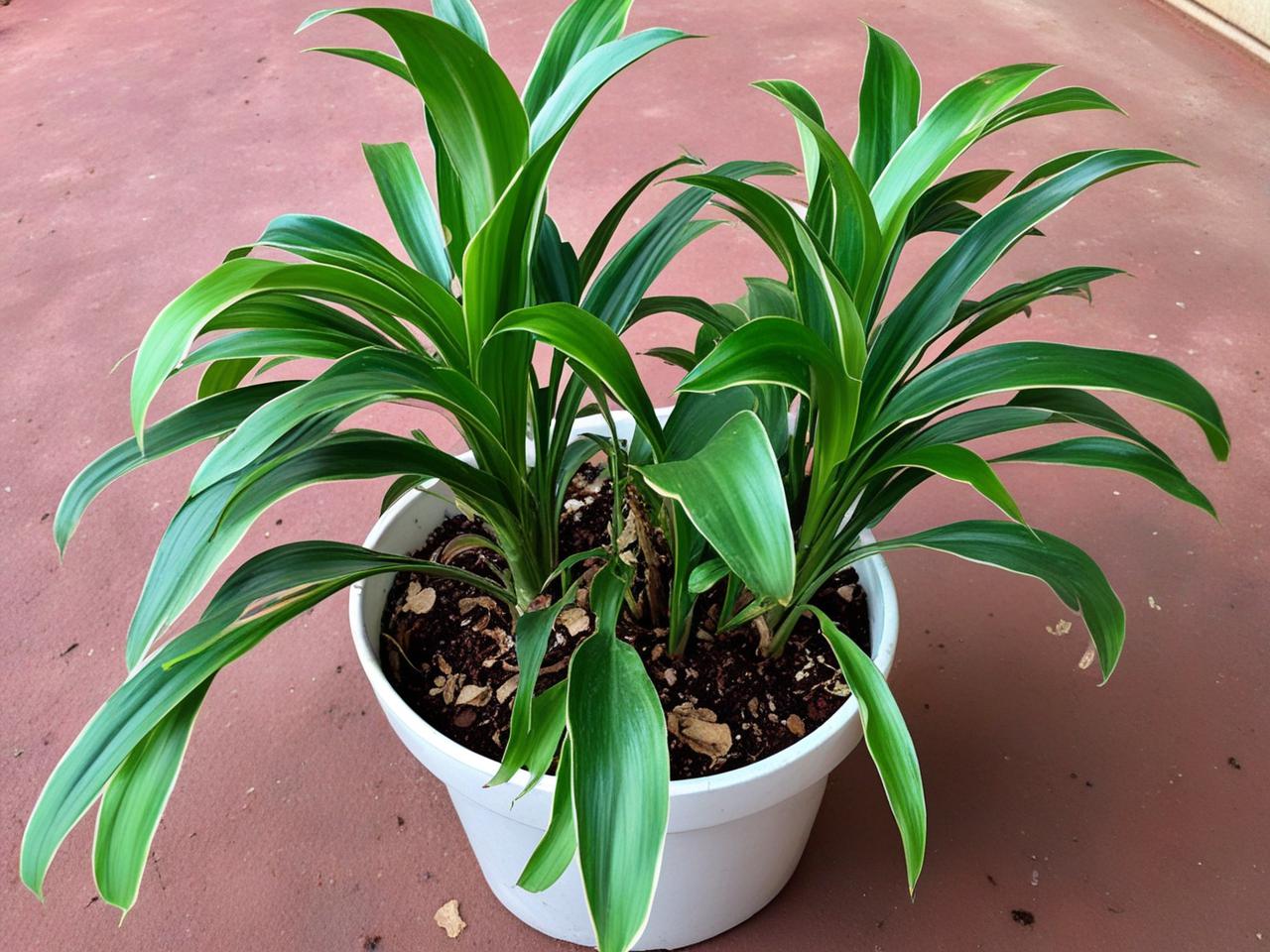 跨境电商要注册公司吗，跨境电商公司到底需要做记账报税吗