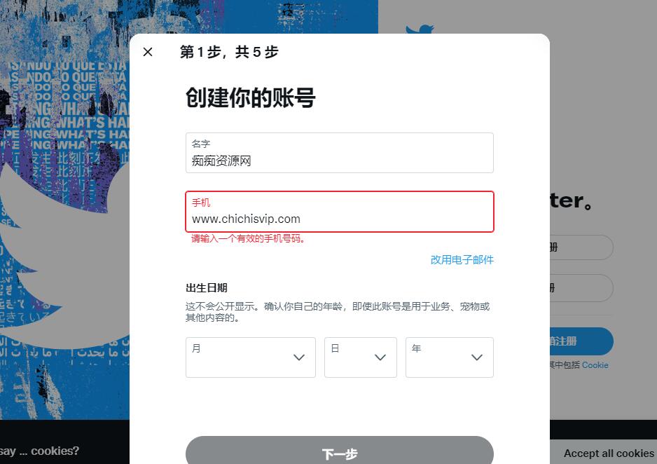 twitter推特怎么注册账号？（国内手机号一步一步教你注册）-痴痴资源网