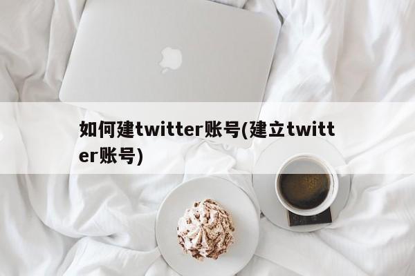 如何建twitter账号(建立twitter账号)