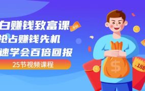 【全网最火】小白赚钱致富课：抢占赚钱先机快速学会百倍回报（25节视频）