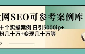 《全网SEO可参考案例库》几十个实操案例