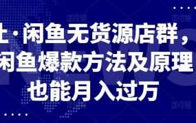 卓让·闲鱼无货源店群，掌握闲鱼爆款方法及原理，也能月入过万