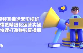短视频直播运营实操班,直播带货精细化运营实操,教你快速打造赚钱直播间