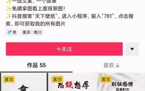 国潮壁纸变现项目,新手可操作日赚200 【素材 软件 教程】