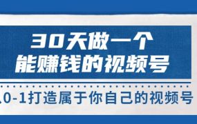 30天做一个能赚钱的视频号,从0-1打造属于你自己的视频号 (14节-价值199)