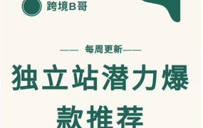 【跨境B哥】独立站潜力爆款选品推荐,测款出单率高达百分之80(每周更新)