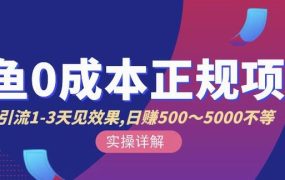 宇晨闲鱼无货源，十几节课程丰富讲诉闲鱼卖货技巧，价值6980