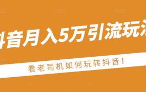 老古董·抖音月入5万引流玩法,看看老司机如何玩转抖音(附赠:抖音另类引流思路)