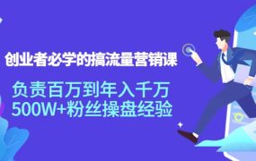 创业者必学的搞流量营销课：负责百万到年入千万，500W 粉丝操盘经验