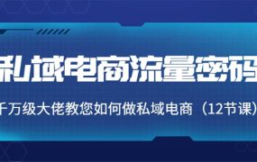 私域电商流量密码:千万级大佬教您如何做私域电商(12节课)
