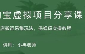 淘宝虚拟整店搬运采集玩法分享课:整店搬运采集玩法,保姆级实操教程
