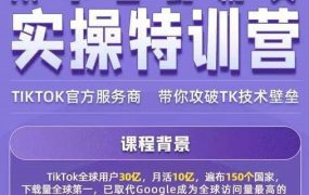 Seven漆·2022Tiktok从小白到精英实操特训营,带你掌握Tiktok账号运营