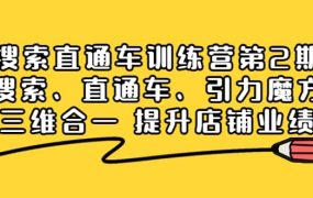 搜索直通车训练营第2期:搜索、直通车、引力魔方三维合一 提升店铺业绩