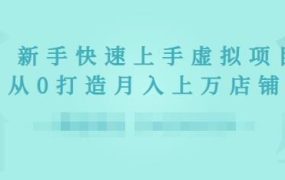 2022年虚拟项目实战指南,新手从0打造月入上万店铺【视频课程】