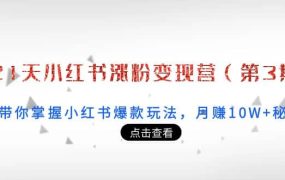 21天小红书涨粉变现营（第3期）：带你掌握小红书爆款玩法，月赚10W 秘密