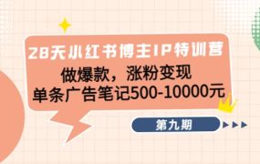 28天小红书博主IP特训营《第9期》