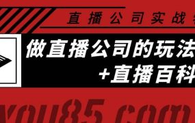 老陈·直播公司实战特训:做直播公司的玩法大全 直播百科全书