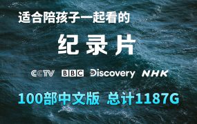 100部中文版《纪录片》共1187G,打开格局开拓眼界涨知识,百度网盘下载