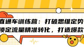 直通车训练营:打破思维定势,锁定流量精准转化,打造爆款