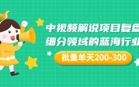 某付费文章:中视频解说项目复盘:细分领域的蓝海行业 批量单天200-300收益
