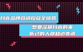 抖音品牌营销投放全链路:想要深耕抖音的来,听过的人都知道靠谱