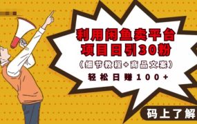 利用闲鱼卖平台项目课程资源日引流30 精准粉丝，轻松日赚100 ，积累人脉可实现二次变现（细节教程 商品文案）