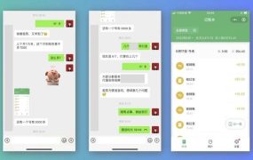 祖小来-简单易复制,月收益1万 的虚拟产品项目,实战玩法详解(视频教程 文档)