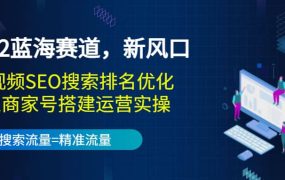 2022蓝海赛道,新风口:短视频SEO搜索排名优化 企业商家号搭建运营实操