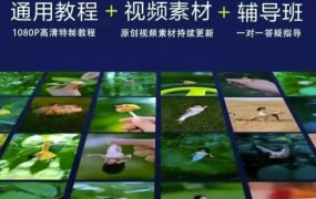 波妞波力的视频通用教程 视频素材 辅导班