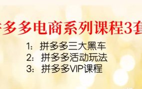 拼多多电商系列课程3套:拼多多三大黑车 拼多多活动玩法 拼多多VIP课程
