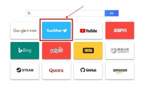 6步教你在中国怎么上twitter?(最新国内上推特twitter最全指南教程)