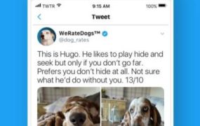 推特官网版app下载