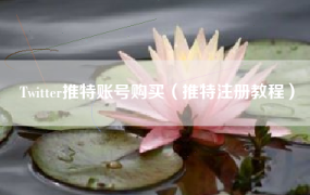 Twitter推特账号购买（推特注册教程）