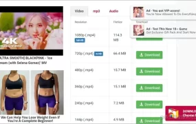 15个国内外最受欢迎的YouTube视频下载器/网站