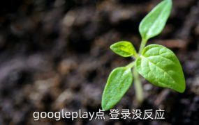 谷歌商店无法登录,mumu模拟器谷歌商店无法登录