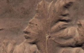 Google Earth上的奇特景观