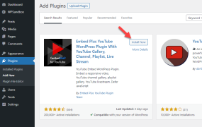如何在 WordPress 中嵌入 YouTube 视频（带和不带插件）