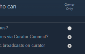 开发者和发行商主页 (Steamworks 文献库)