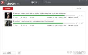 youtube怎么下载安装(下载YouTube油管视频的5种实用方法)