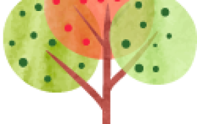 跨境电商、ebay注册认证&绑定PayPal