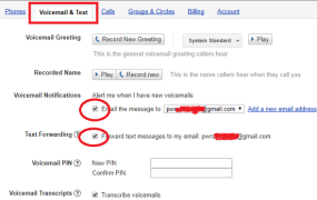 简单设置让Google Voice秒收短信并防号码回收