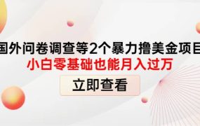 国外问卷调查等2个暴力撸美元项目,小白零基础也能月入过万