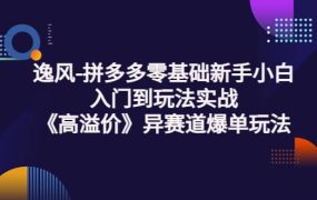 拼多多零基础新手小白入门到玩法实战《高溢价》异赛道爆单玩法实操课