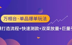 万相台·单品爆单玩法，单爆打造流程 快速测款 双渠放量 巨量引爆