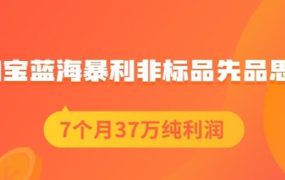 盗坤淘宝蓝海暴利非标品先品思路,7个月37万纯利润,压箱干货分享!【付费文章】
