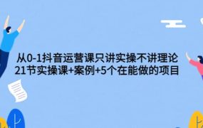 从0-1抖音运营课只讲实操不讲理论:21节实操课 案例 5个在能做的项目