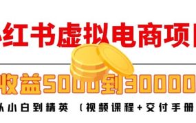小红书虚拟电商项目:从小白到精英 (视频课程 交付手册)
