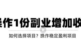新手如何通过操作副业增加收入,从项目选择到玩法分享!【视频教程】