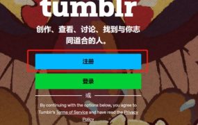 2023年最新Tumblr(汤不热)账号注册教程（电脑端）