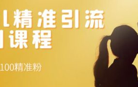 soul精准引流系列课程,每天引流100精准粉